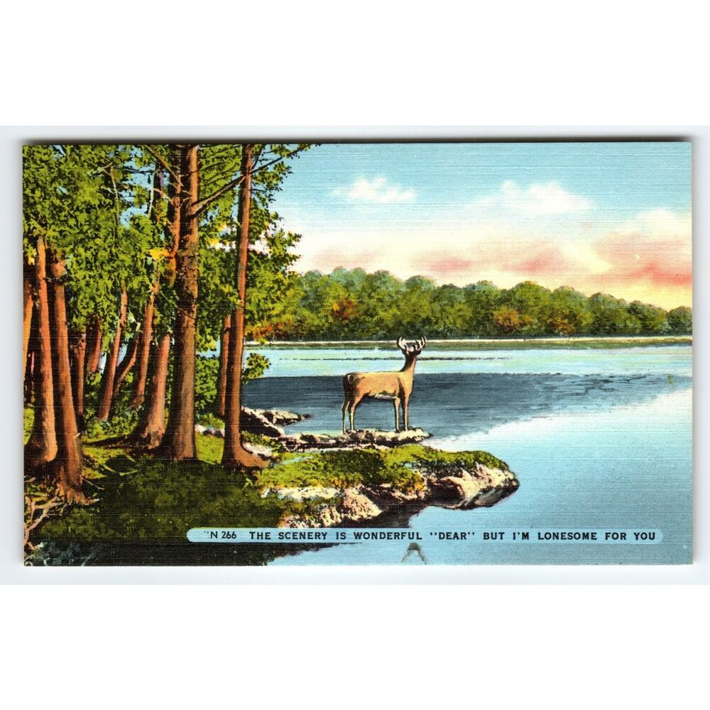 Vintage Linen Deer Lake Scenic Postcard Asheville NC 1930s-40s